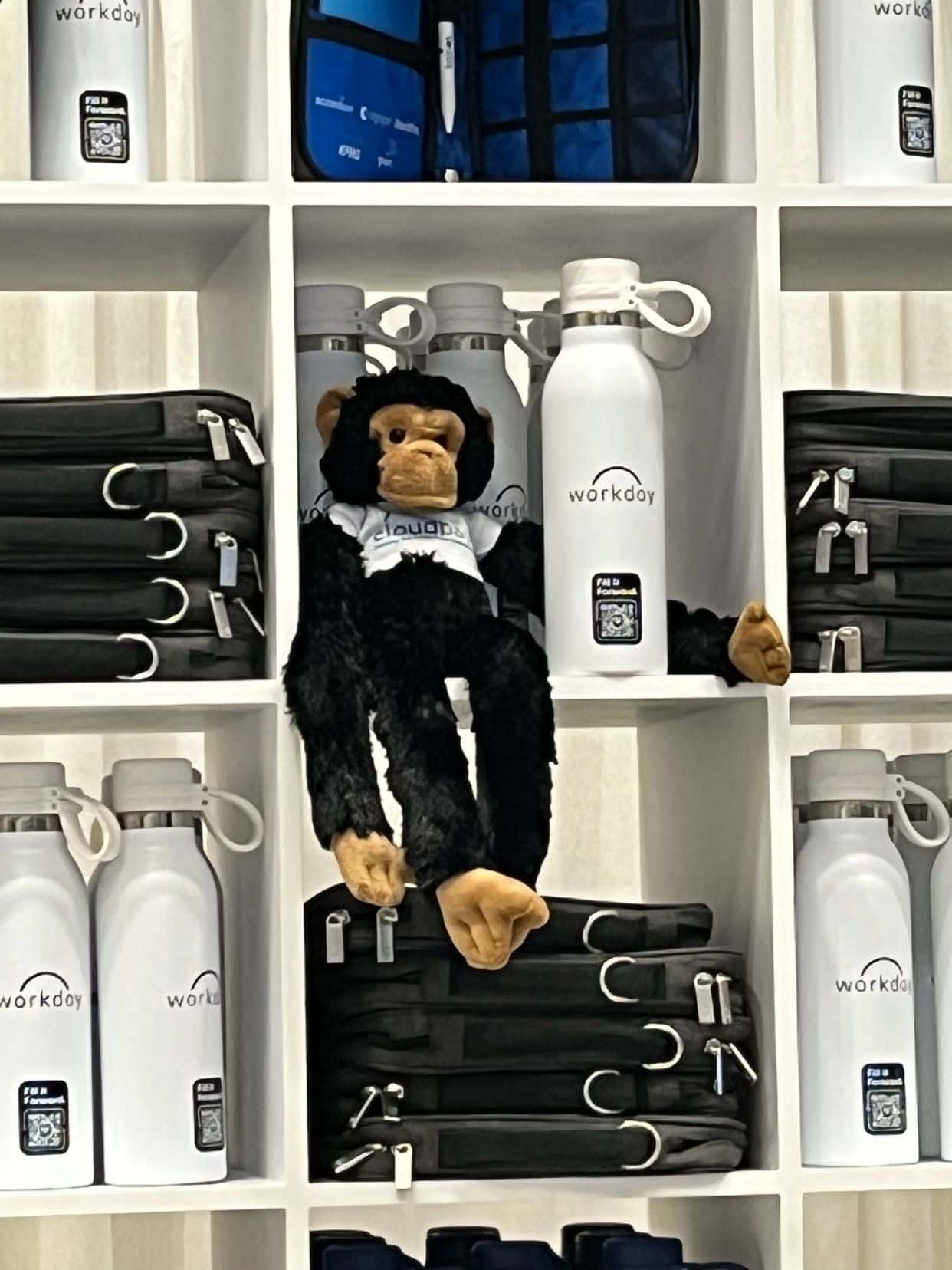 monkey2