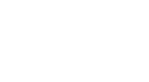 PayrollOrg Logo white